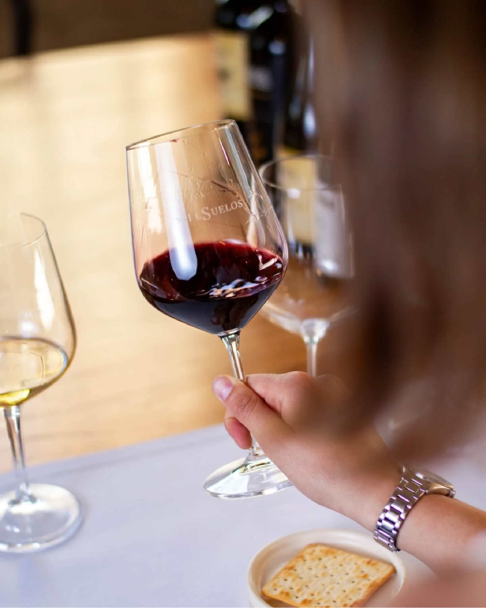 Maipú: tradição e Malbec